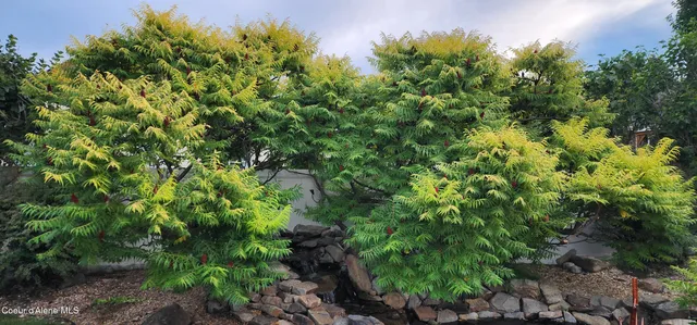 $715,000 | 2811 West Thorndale Loop, Coeur D'Alene, ID 83815