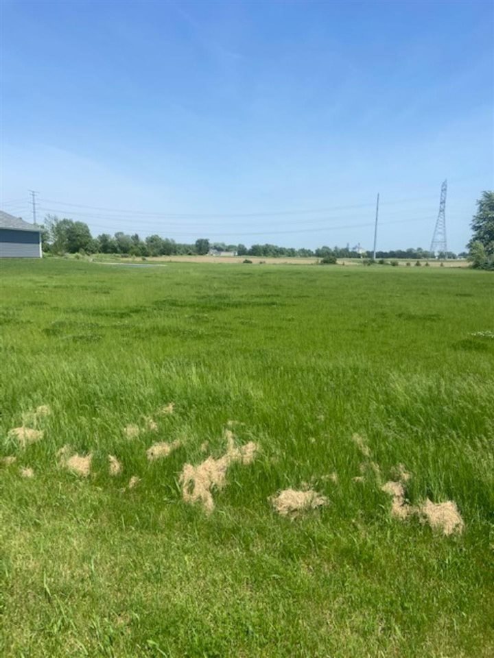 V/l Reese Road Frankenmuth, MI 48734 - Photo 4 of 6