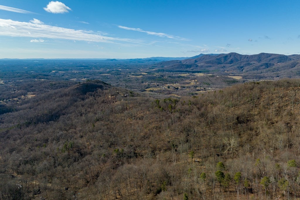 Lot 93 Reflections Point Trail, Unit 93 Fancy Gap, VA 24328 - Photo 34 of 92 Gallery Image 34