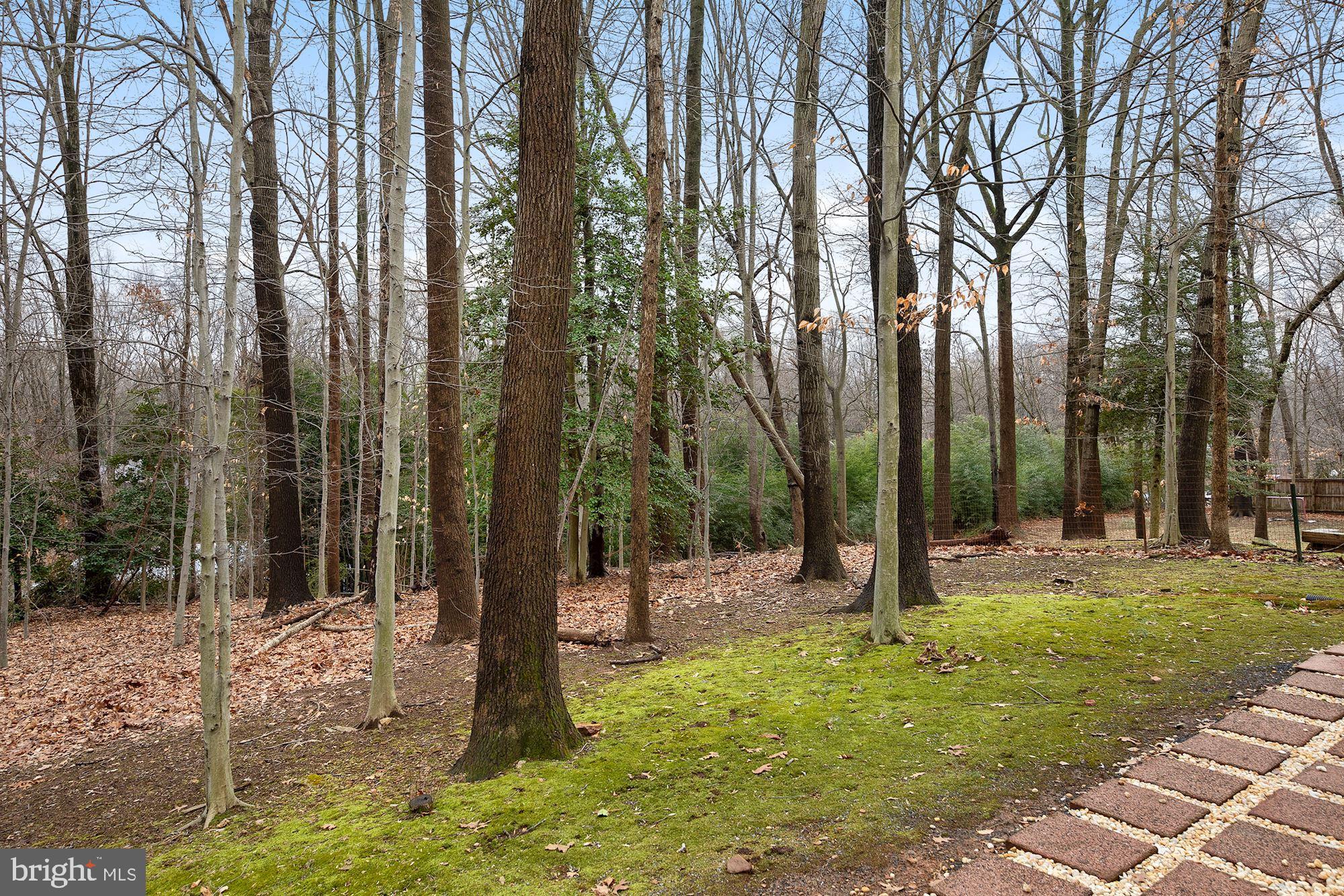 7700 Hamilton Spring Road Bethesda, MD 20817 - Photo 28 of 33