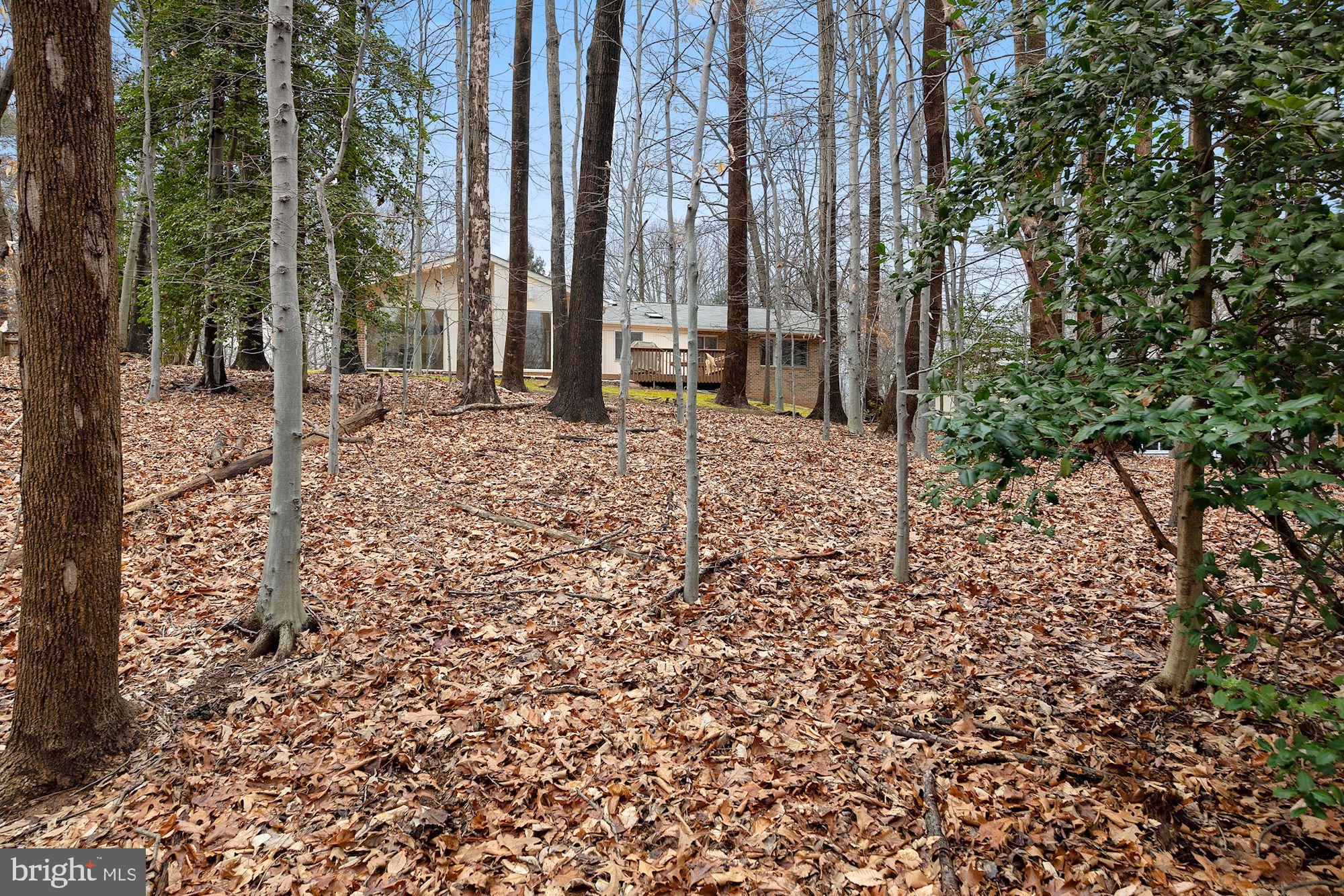 7700 Hamilton Spring Road Bethesda, MD 20817 - Photo 29 of 33