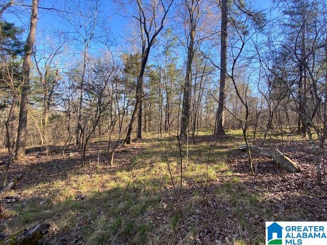 619 Ridge View Drive, Unit 5 ACRES Trussville, AL 35173 - Photo 12 of 20