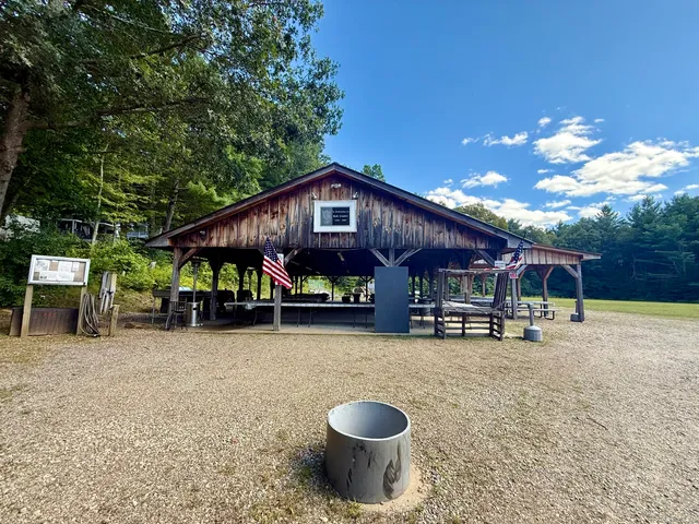 a view of a yard with a trees