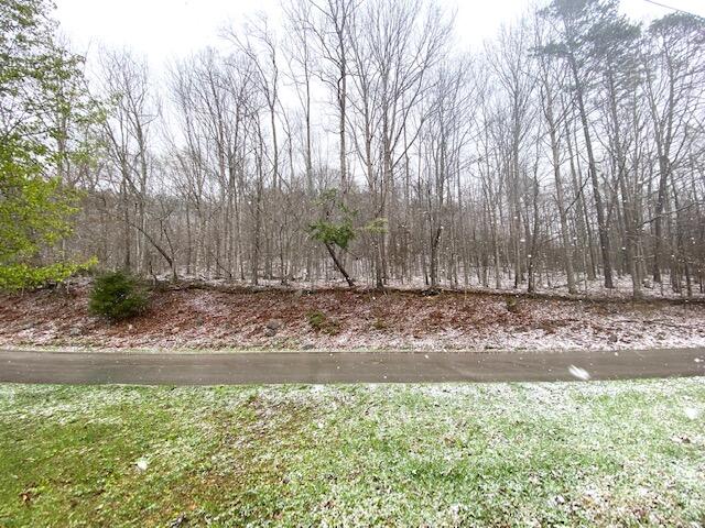875 Stewart Road Somerset, KY 42501 - Photo 13 of 49 IMG_8209
