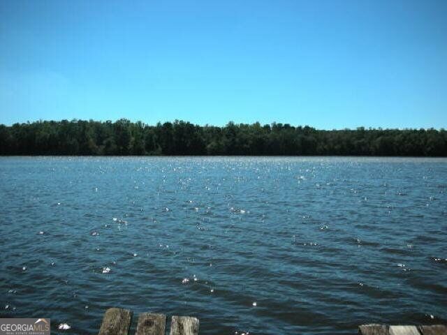 143 Weavers Lakefront Road Jackson, GA 30233 - Photo 5 of 5 Gallery Image 5