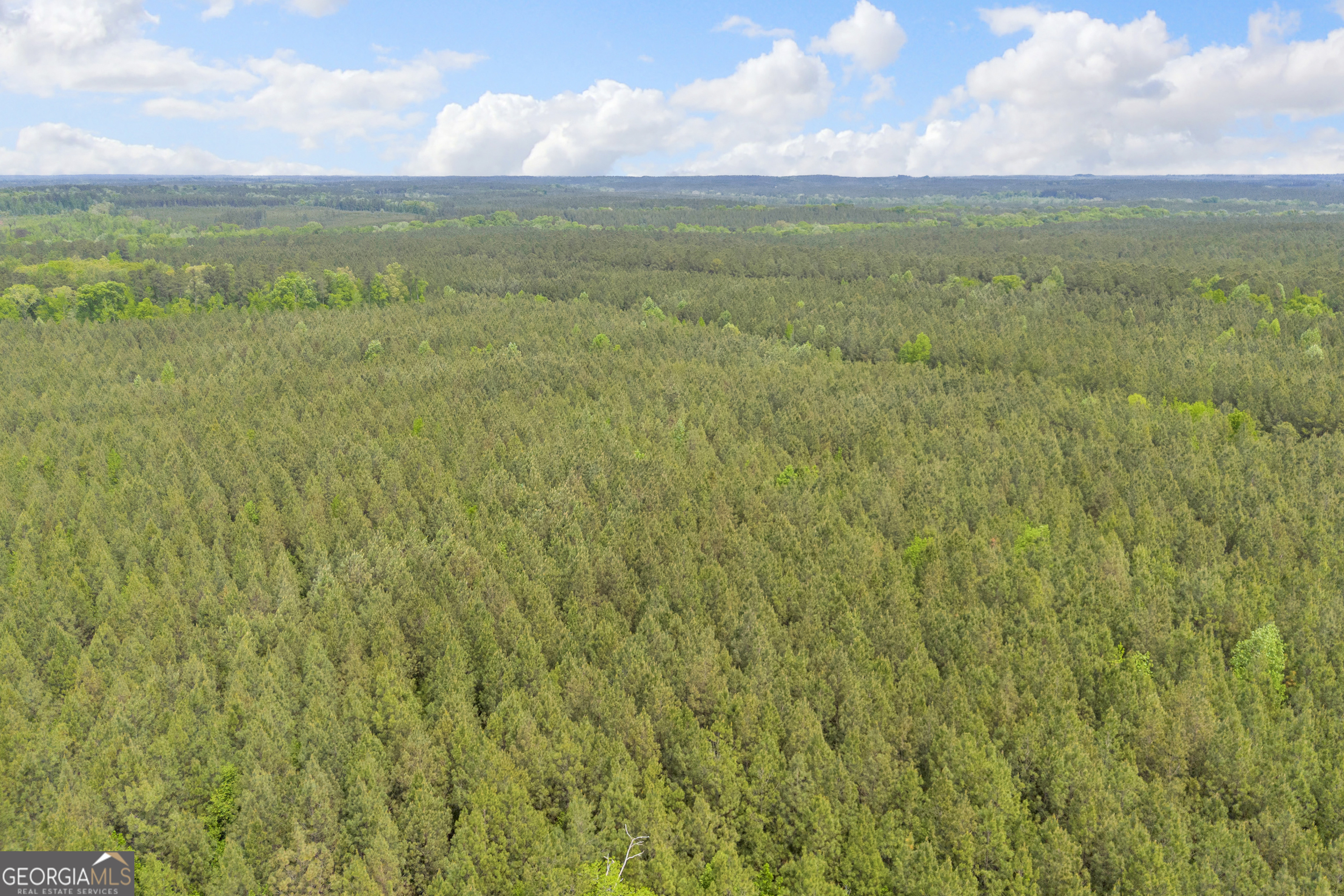 0 Upper Mill Road Northeast Crawfordville, GA 30631 - Photo 15 of 29 a view of an ocean