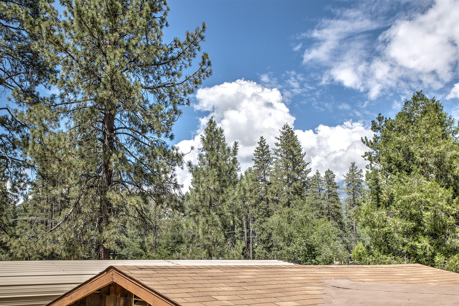 53394 Tollgate Road Idyllwild, CA 92549 - Photo 42 of 53 a view of outdoor space and yard