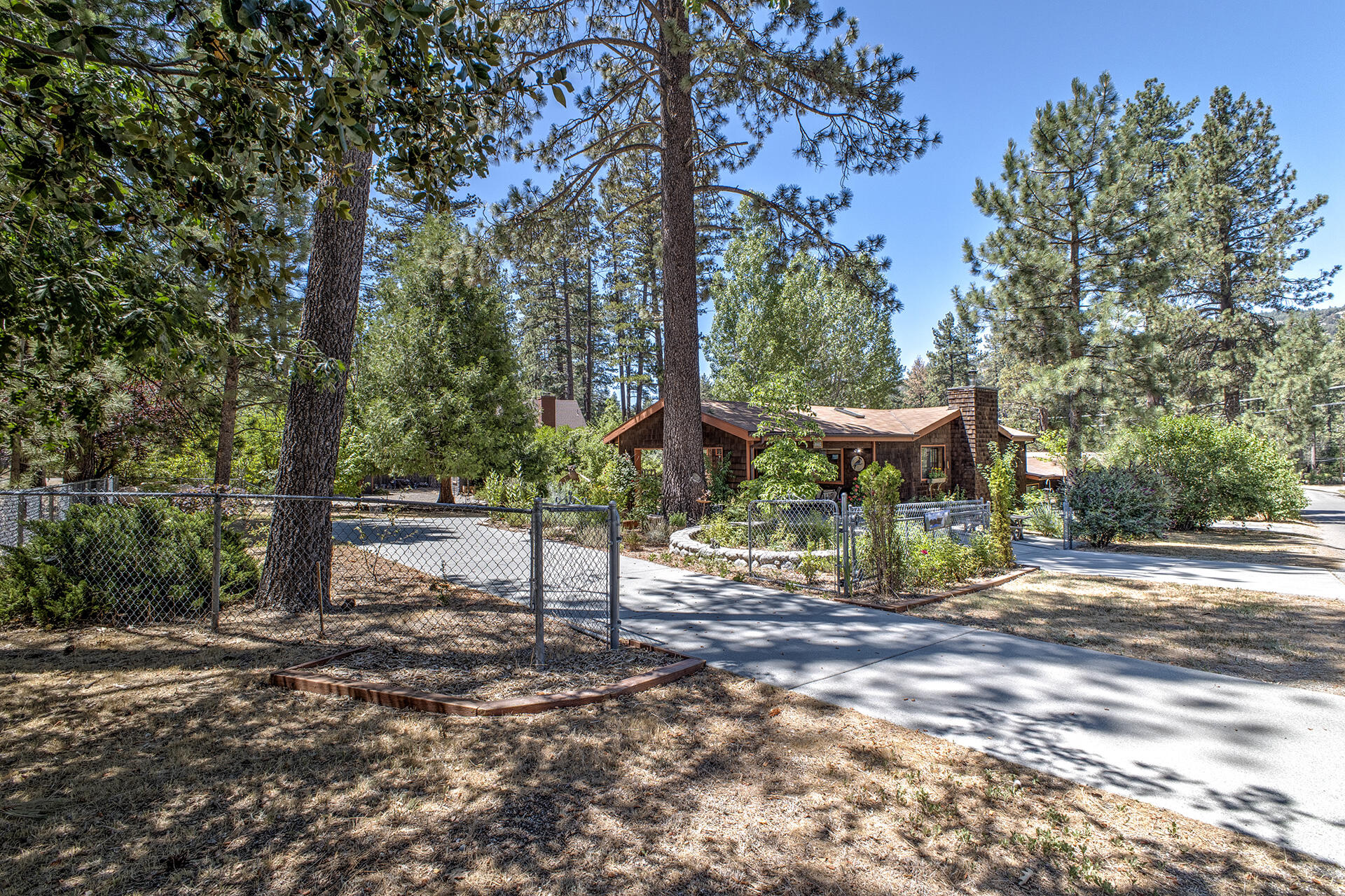 53394 Tollgate Road Idyllwild, CA 92549 - Photo 5 of 53 a view of a street with large trees