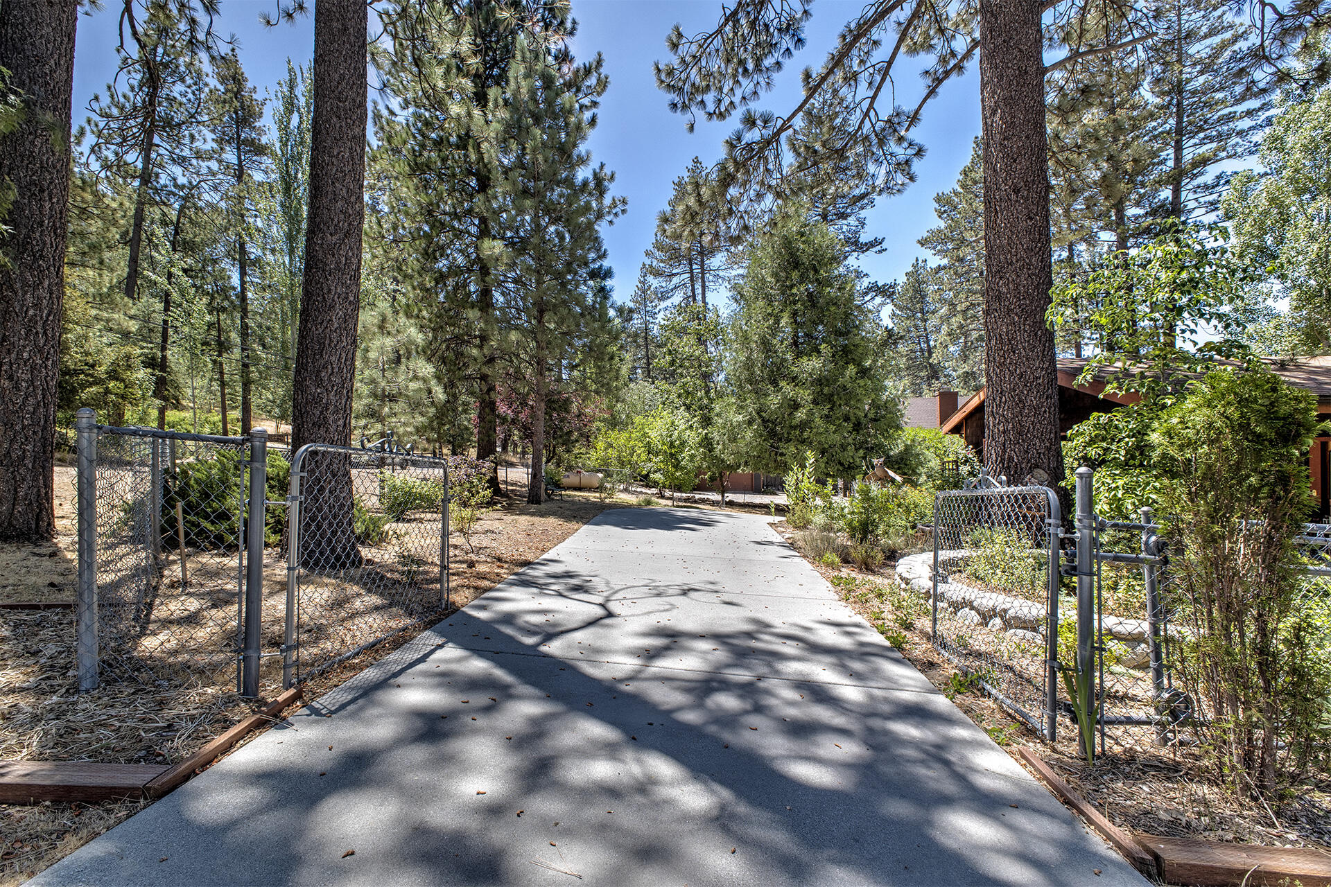 53394 Tollgate Road Idyllwild, CA 92549 - Photo 52 of 53 a view of a street with large trees
