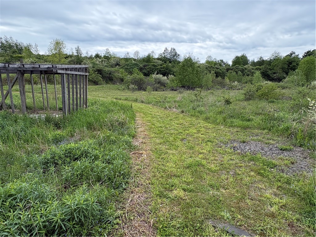 36 County Road Guilford, NY 13780 - Photo 12 of 38