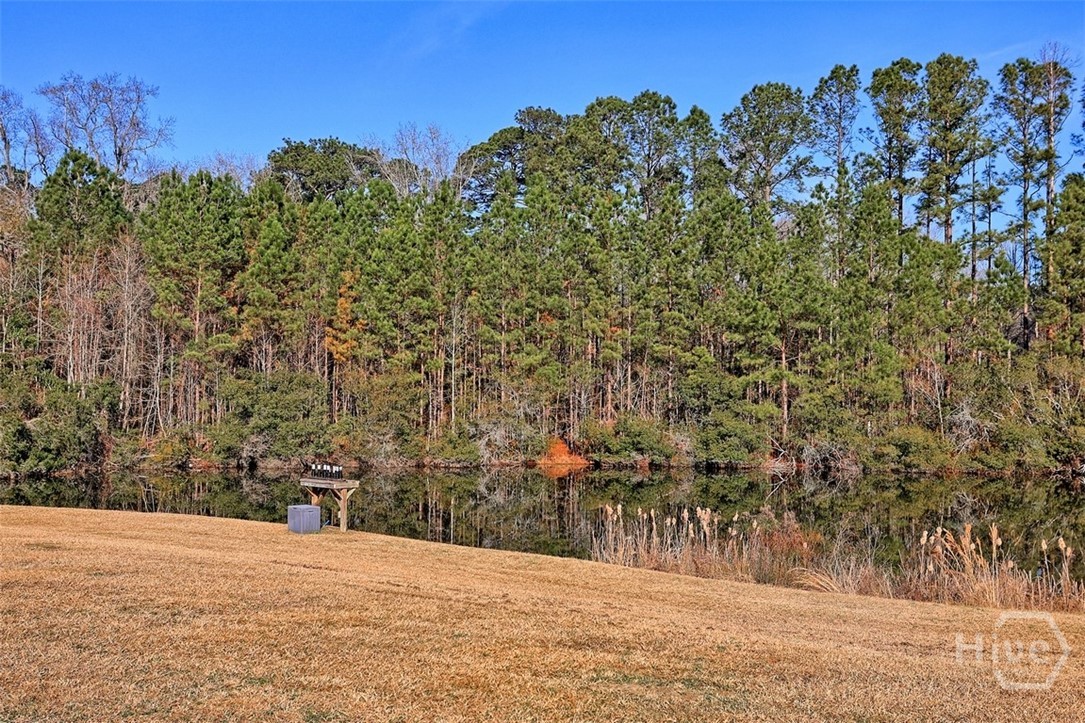 206 Sandy Springs Drive Rincon, GA 31326 - Photo 46 of 52