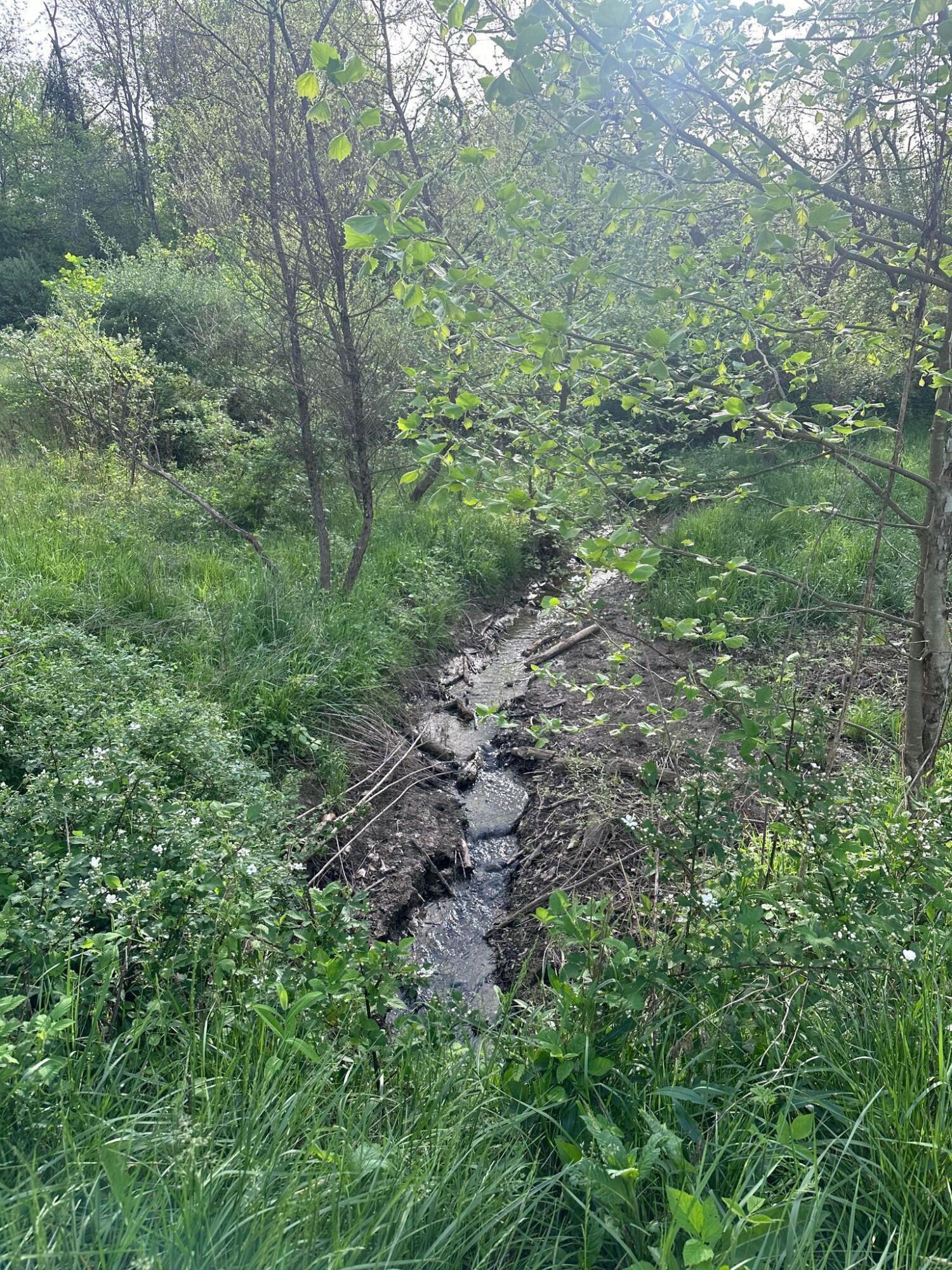 5159 Barr Road McConnelsville, OH 43756 - Photo 48 of 80 Creek