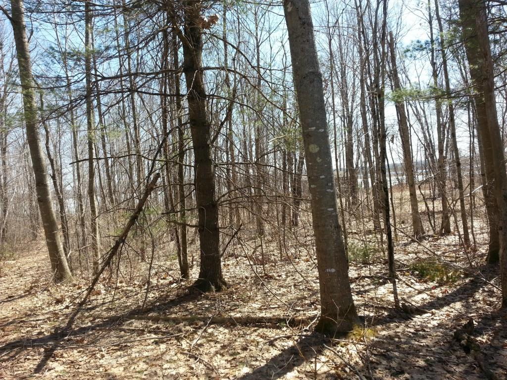 0 Etna Road Plymouth, ME 04969 - Photo 4 of 8 Photo