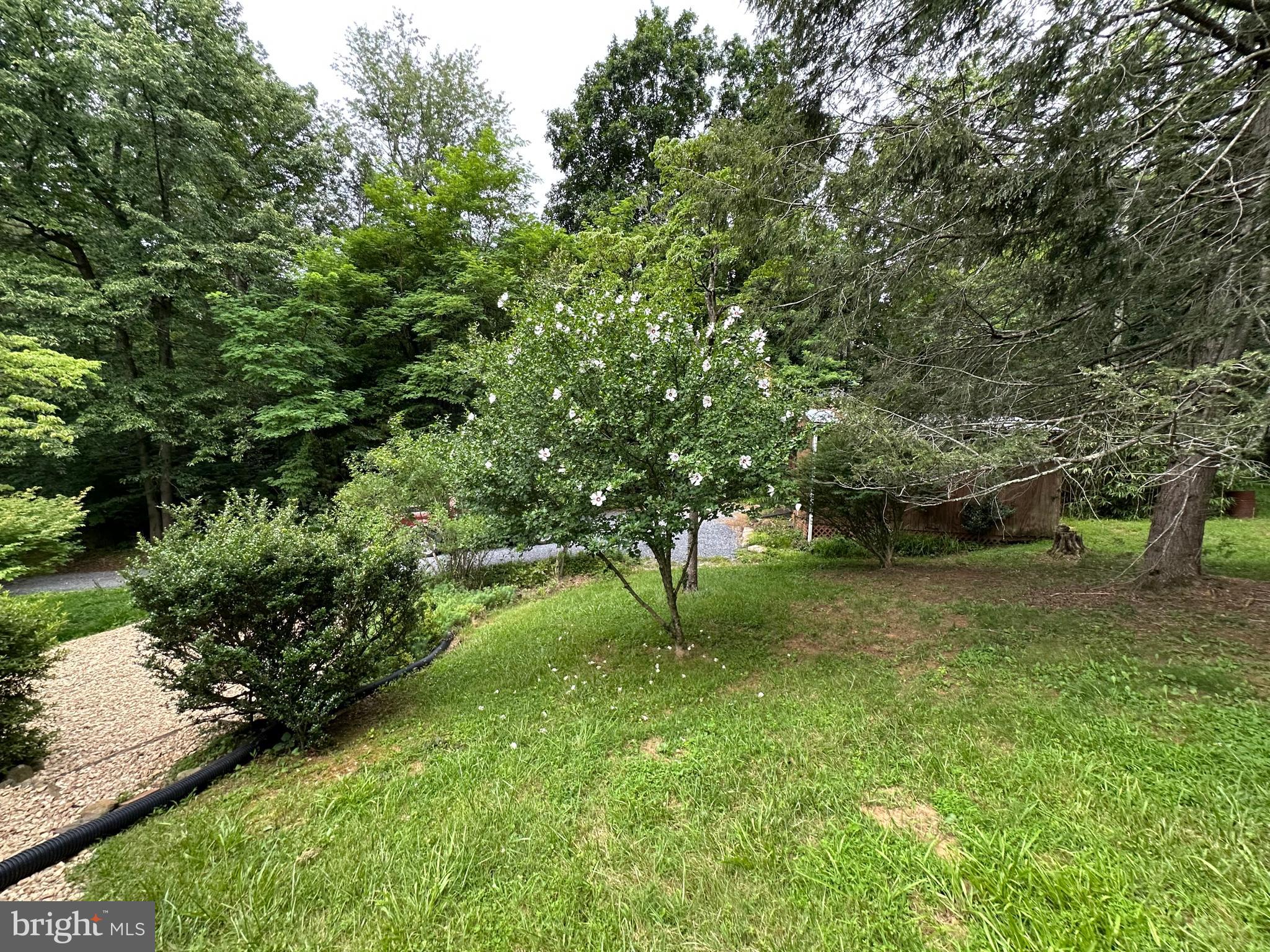 181 Hawksbill Pines Road Stanley, VA 22851 - Photo 50 of 52 Gallery Image 50