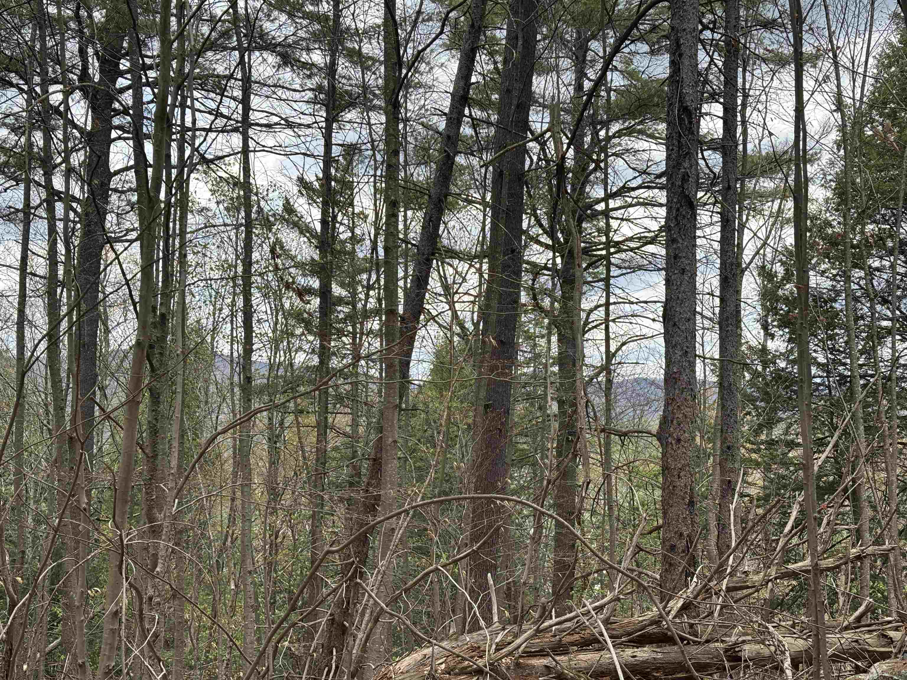 0 Snell Road Chester, VT 05143 - Photo 5 of 14