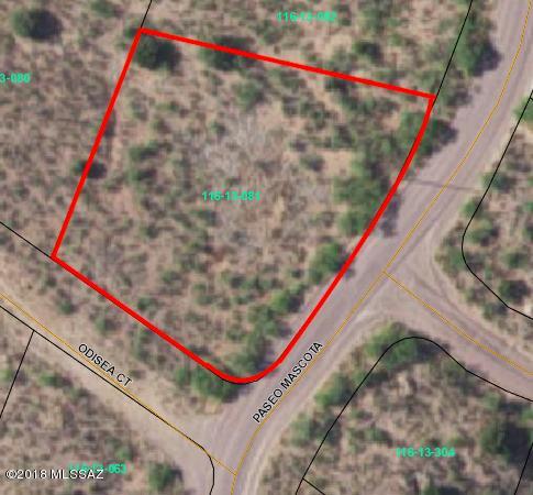 225 Paseo Mascota, Unit 28 Rio Rico, AZ 85648 - Photo 1 of 1