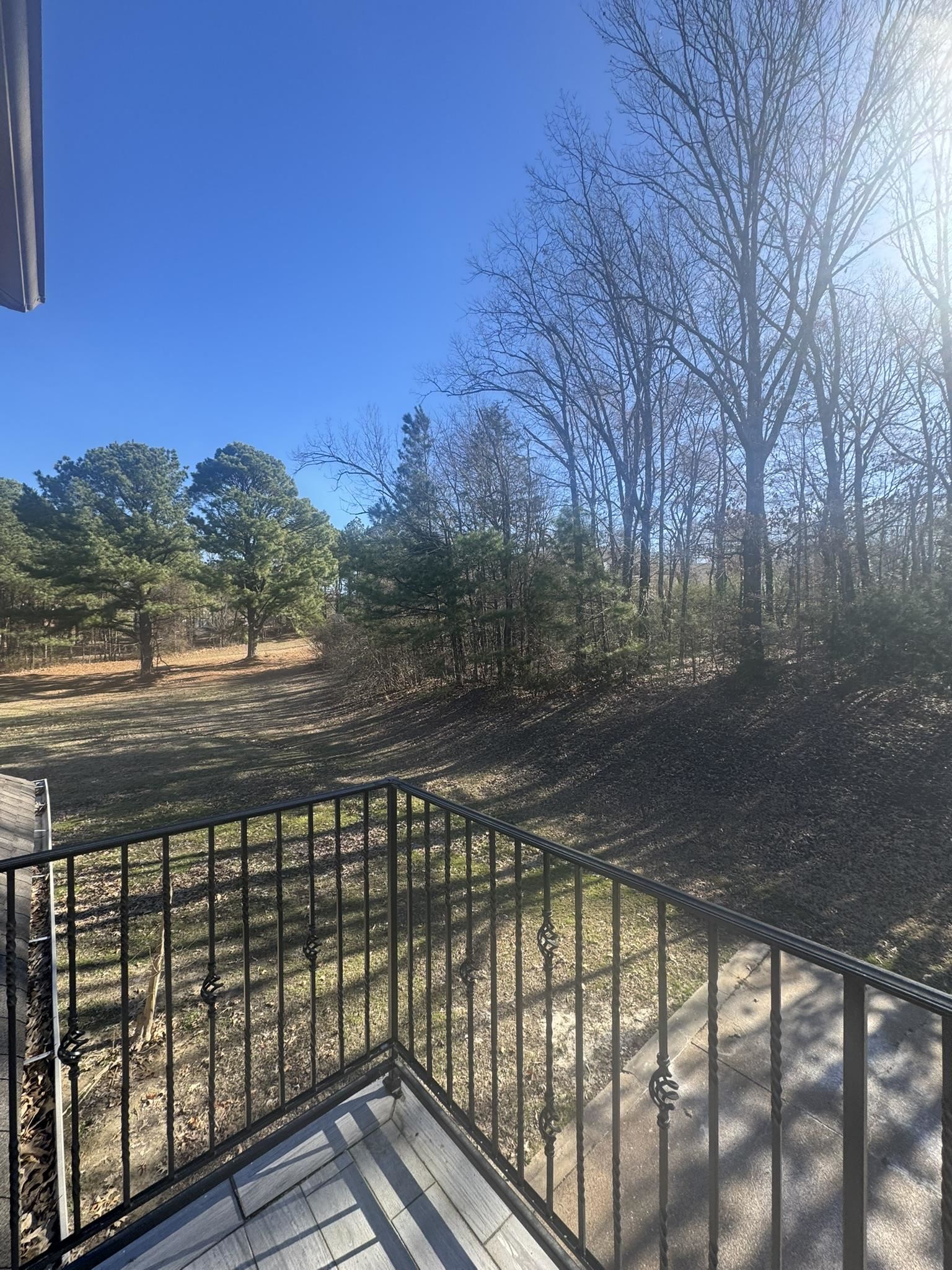 55 Hickory Nut Road Piperton, TN 38017 - Photo 38 of 40 View of balcony