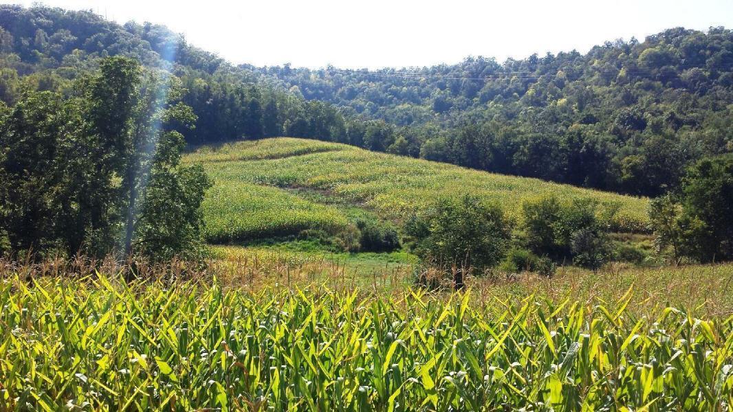 Ag