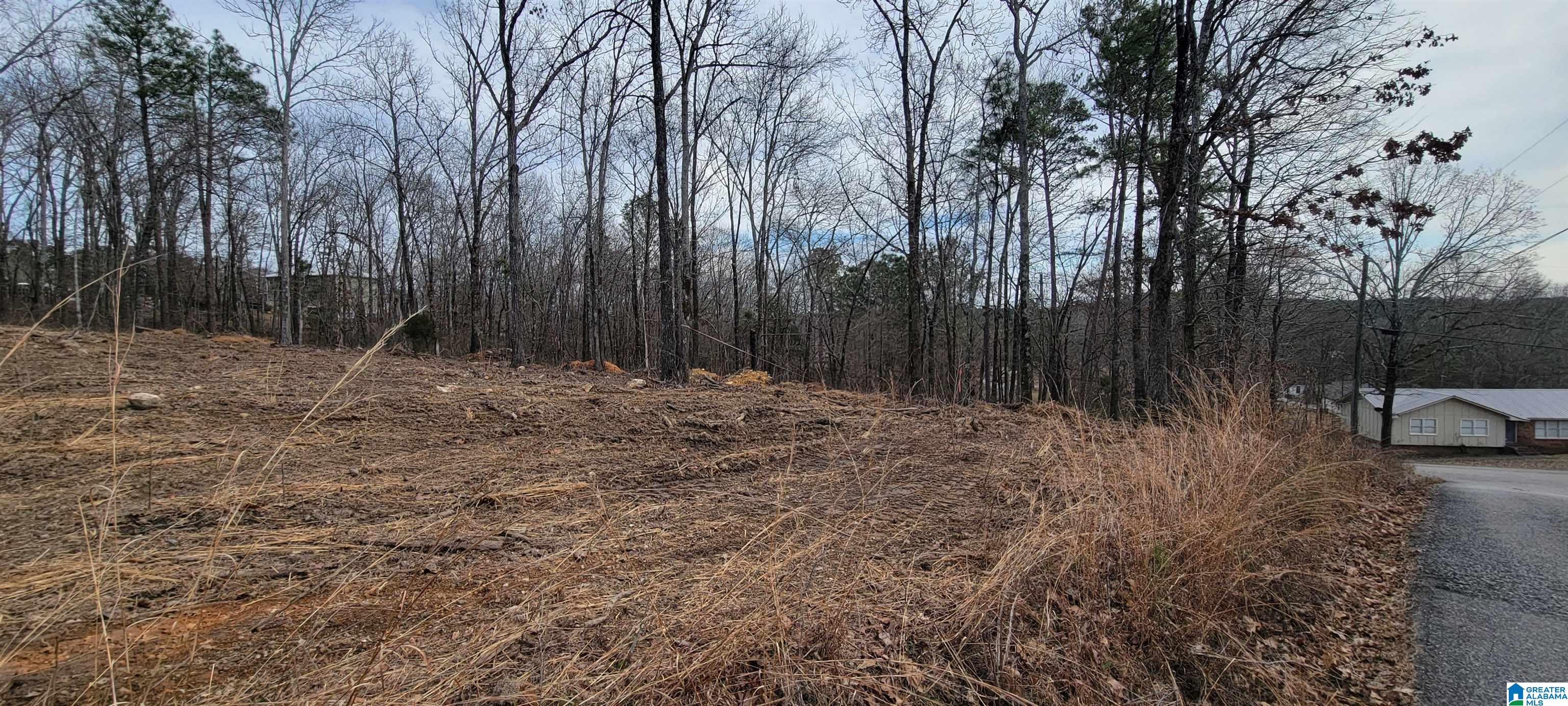 24 Hollys Lane, Unit 21 Riverside, AL 35135 - Photo 6 of 8
