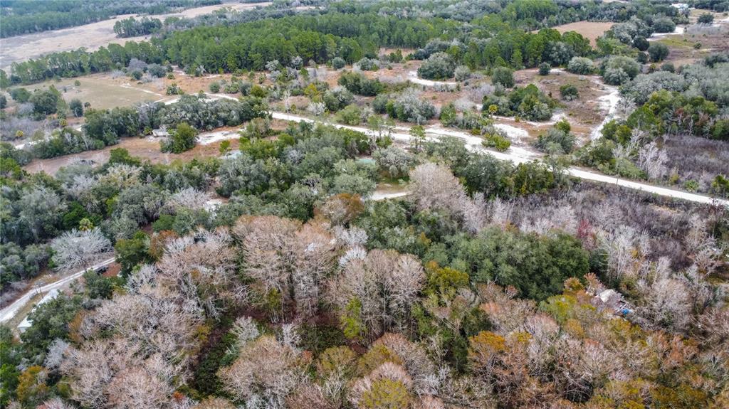 2320 North Dee River Road Inverness, FL 34453 - Photo 51 of 57 Gallery Image 51