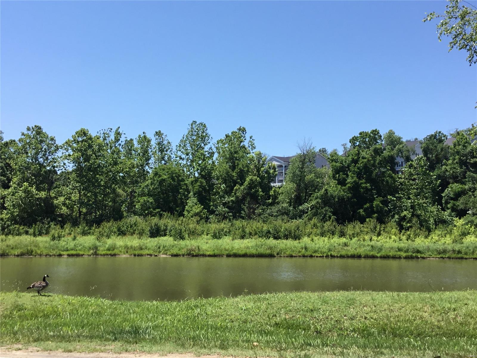 1314 Creve Coeur Mill Road St. Louis, MO 63146 - Photo 2 of 48 Gallery Image 2