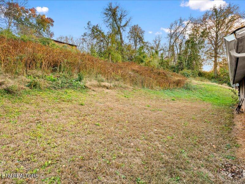 1916 Rosedale Avenue Knoxville, TN 37915 - Photo 18 of 20 18-Exterior