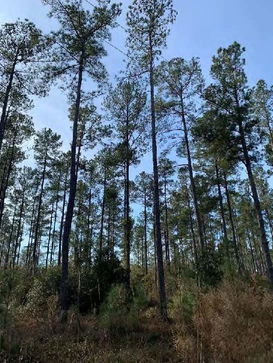 8 acres