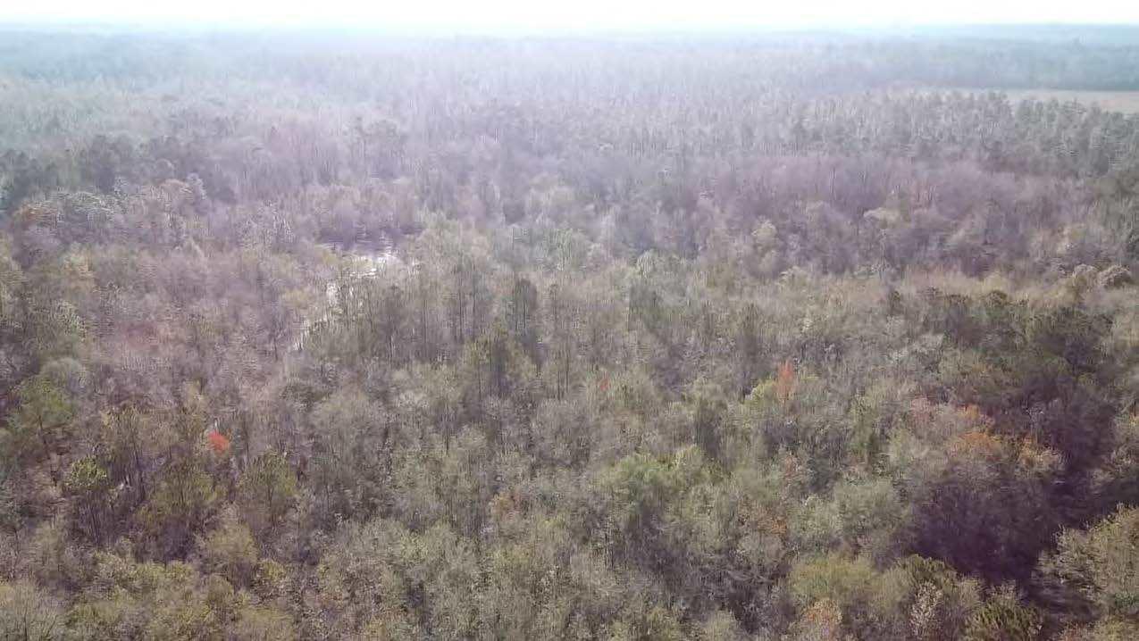 Aerial view of 8 acres