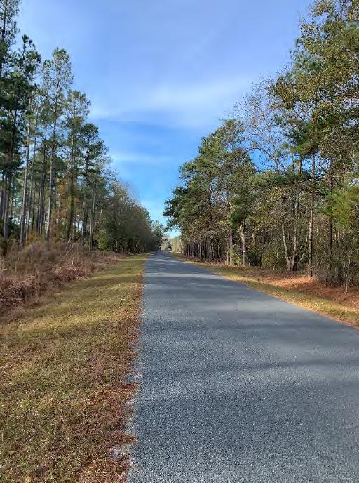 0 Mallard Lake Road Dorchester, SC 29437 - Photo 8 of 8 Mallard Alt View