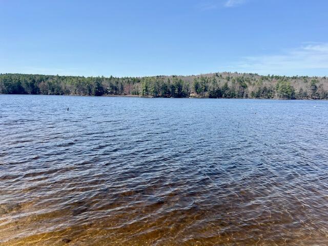 91 Gore Road Naples, ME 04055 - Photo 11 of 12 87 & 91 Gore Road Sebago Cove