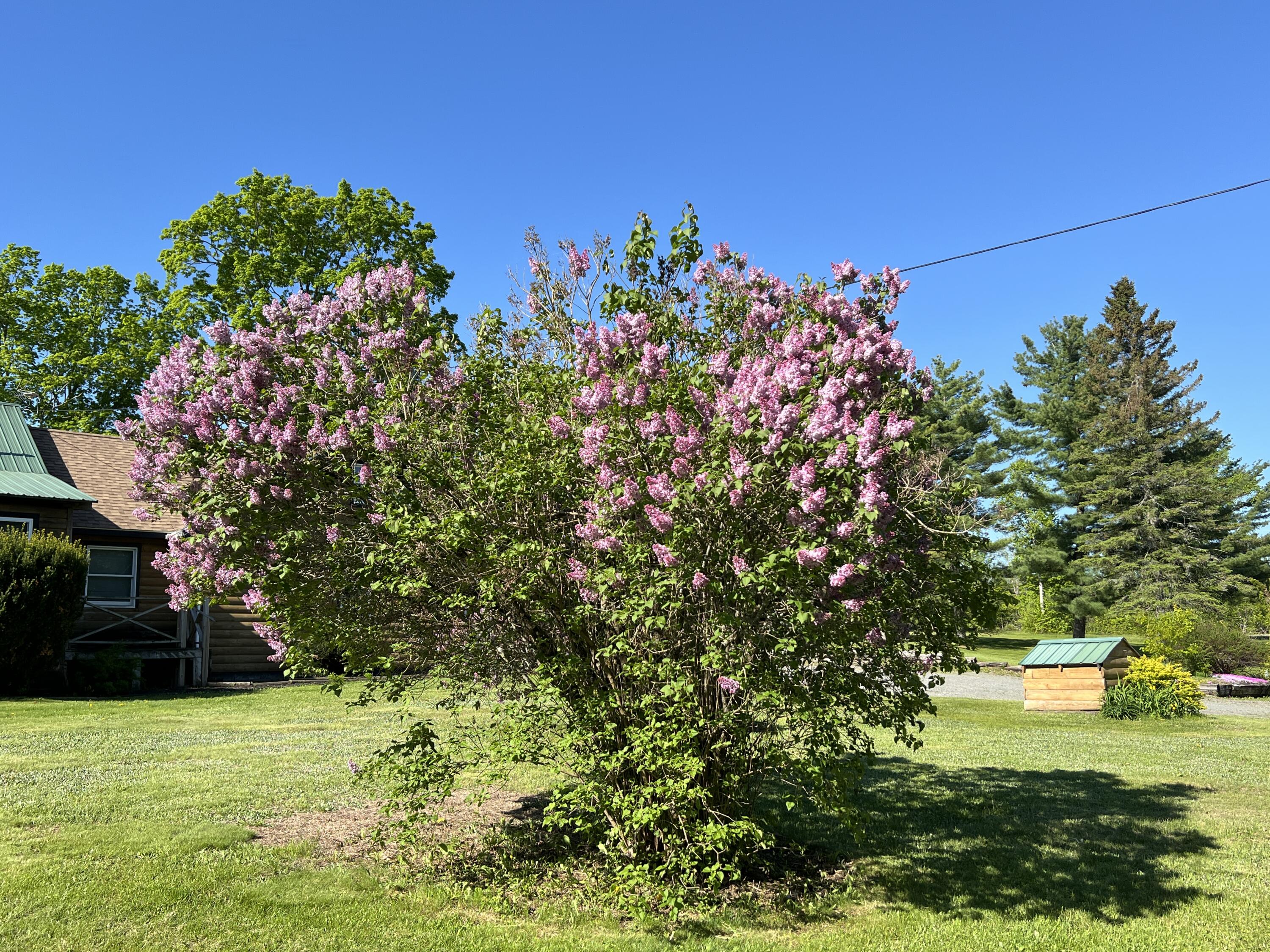 129 Ledge Hill Road Corinth, ME 04427 - Photo 22 of 68 IMG_3275