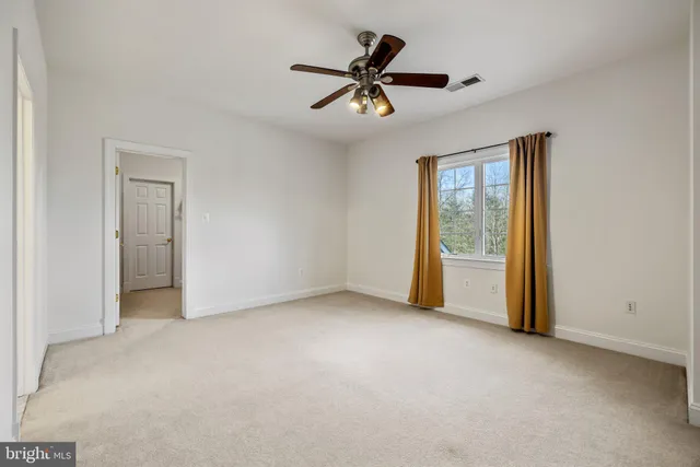 a view of a garden with pathway