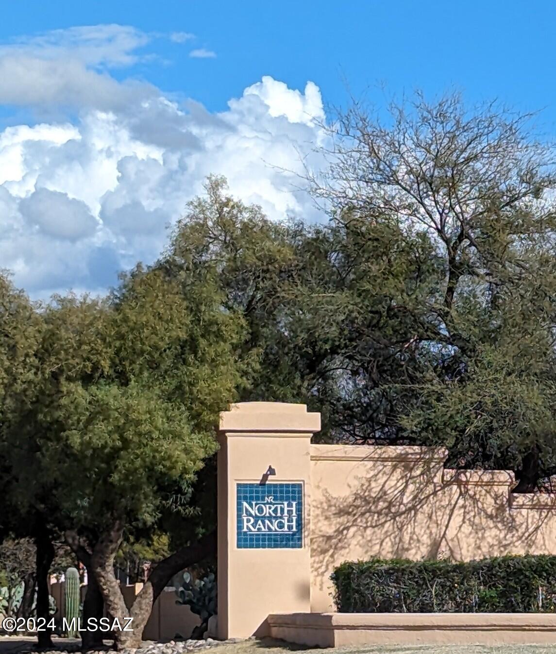 3589 West Thundercloud Loop Tucson, AZ 85742 - Photo 31 of 34