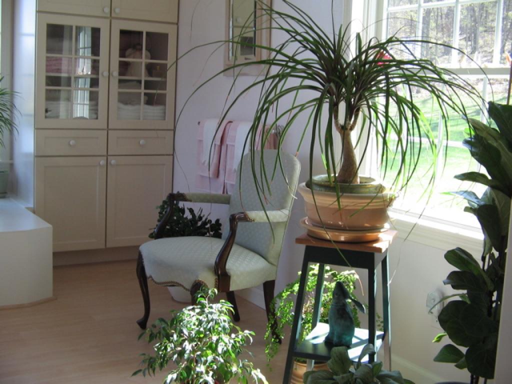 341 Forrest Farm Road Pawlet, VT 05761 - Photo 18 of 36 Gallery Image 18