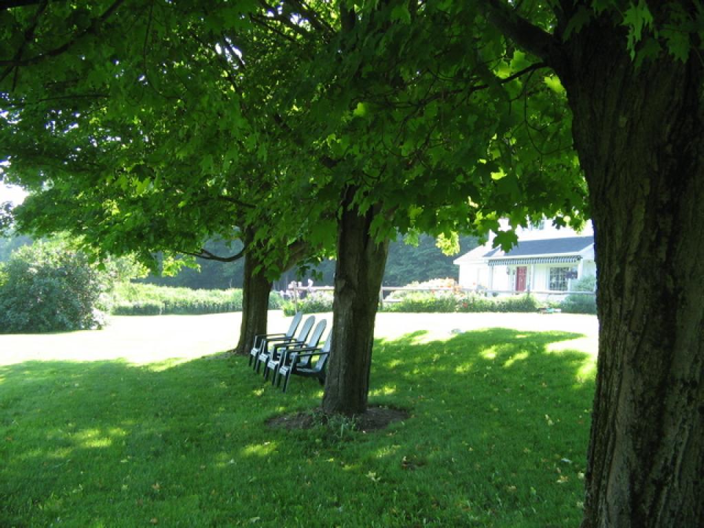 341 Forrest Farm Road Pawlet, VT 05761 - Photo 28 of 36 Gallery Image 28
