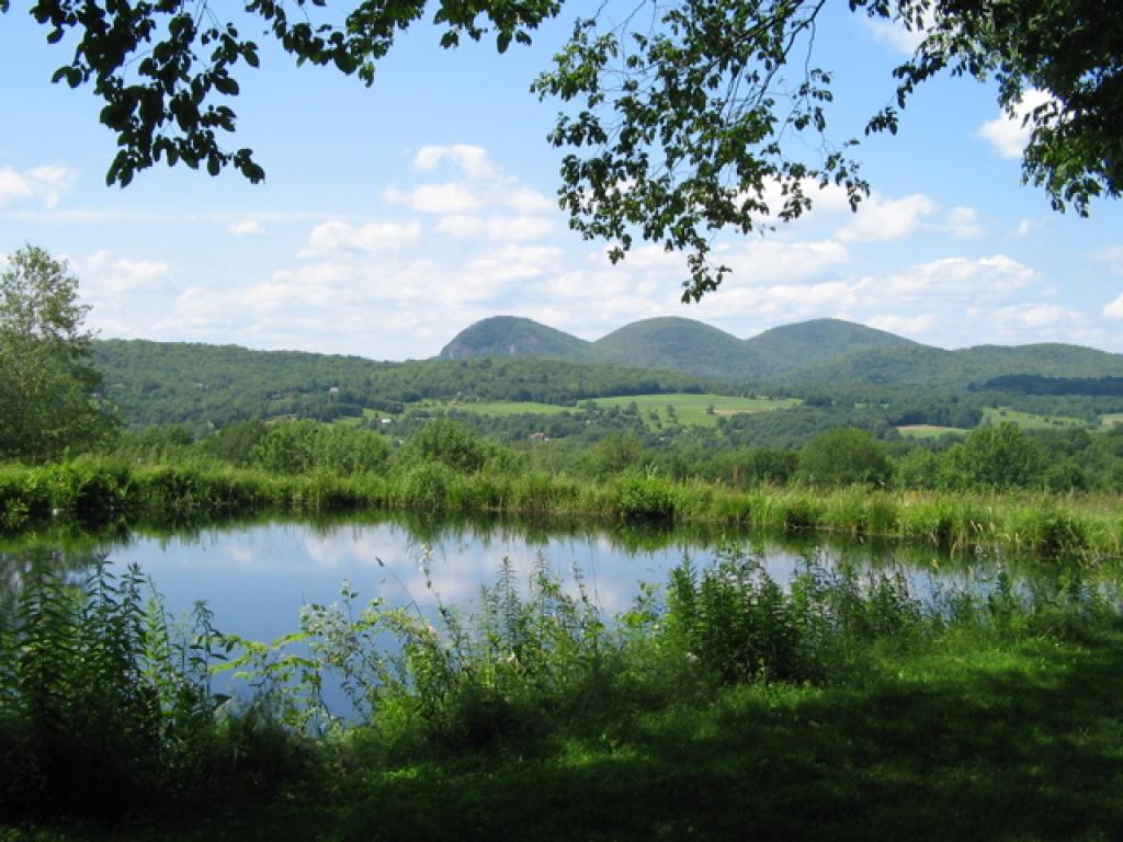 341 Forrest Farm Road Pawlet, VT 05761 - Photo 4 of 36 Gallery Image 4