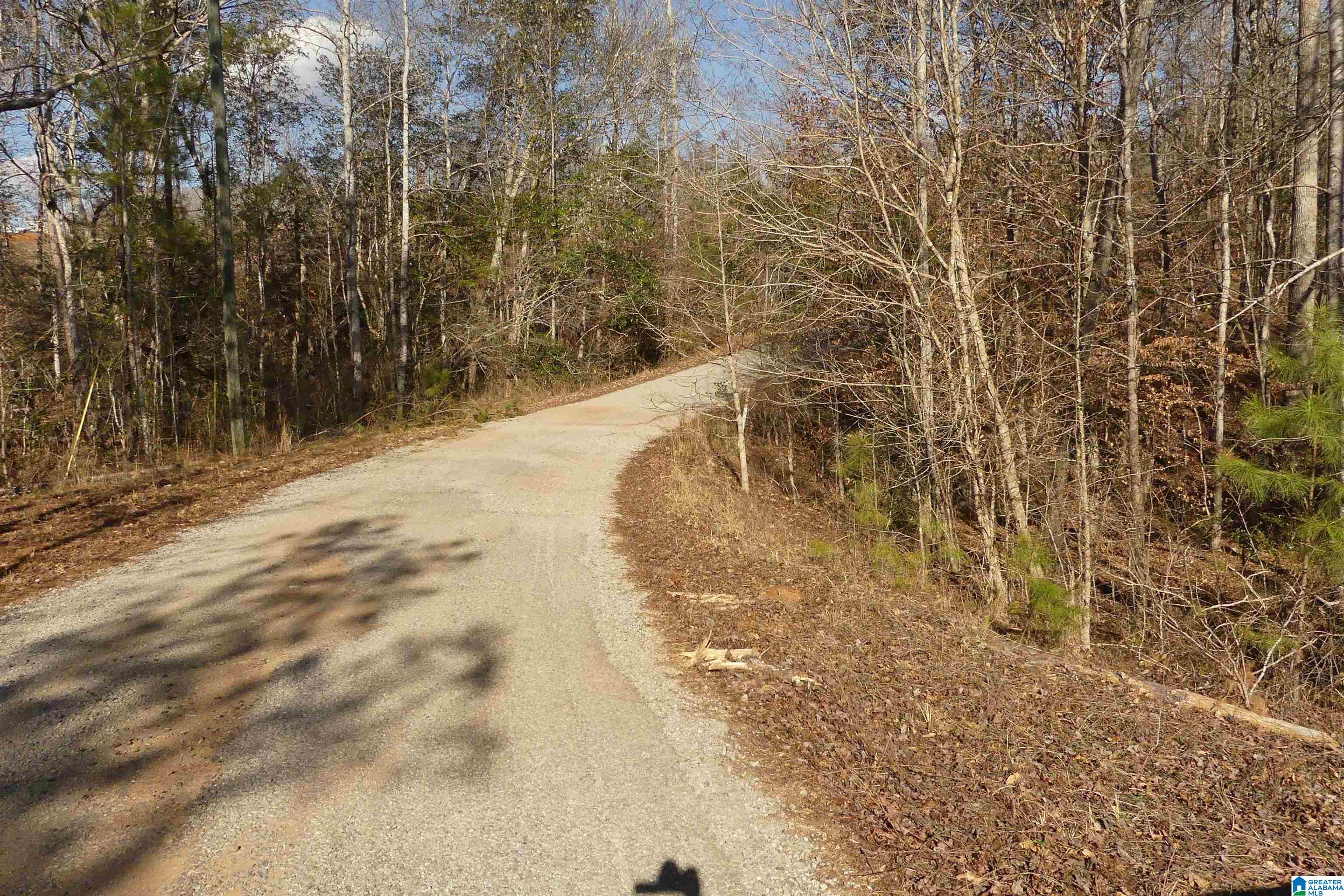 Lot # Harbour Point Drive, Unit 9 Delta, AL 36258 - Photo 7 of 8