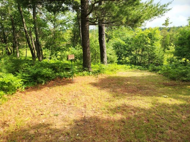 6565 Lynch Bridge Road Siren, WI 54872 - Photo 11 of 60