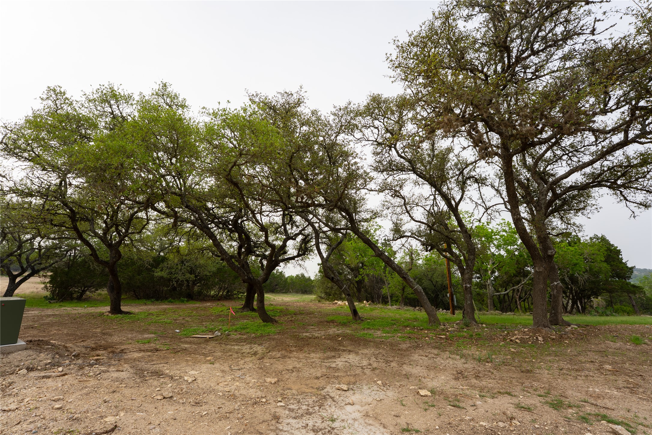 Lot 27 Ranch Road 165 Dripping Springs, TX 78620 - Photo 5 of 9 a view of a tree in the middle of a yard