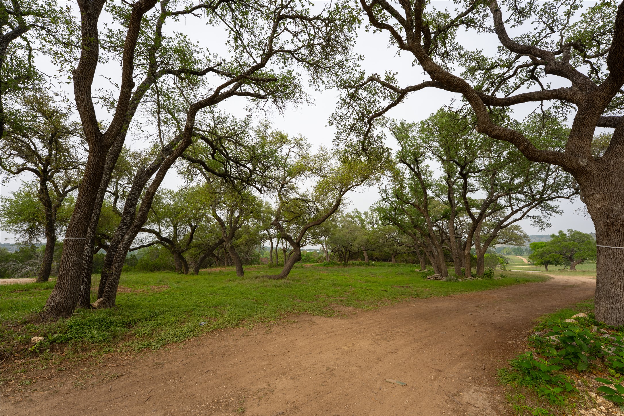 Lot 27 Ranch Road 165 Dripping Springs, TX 78620 - Photo 6 of 9 a view of a park with large trees
