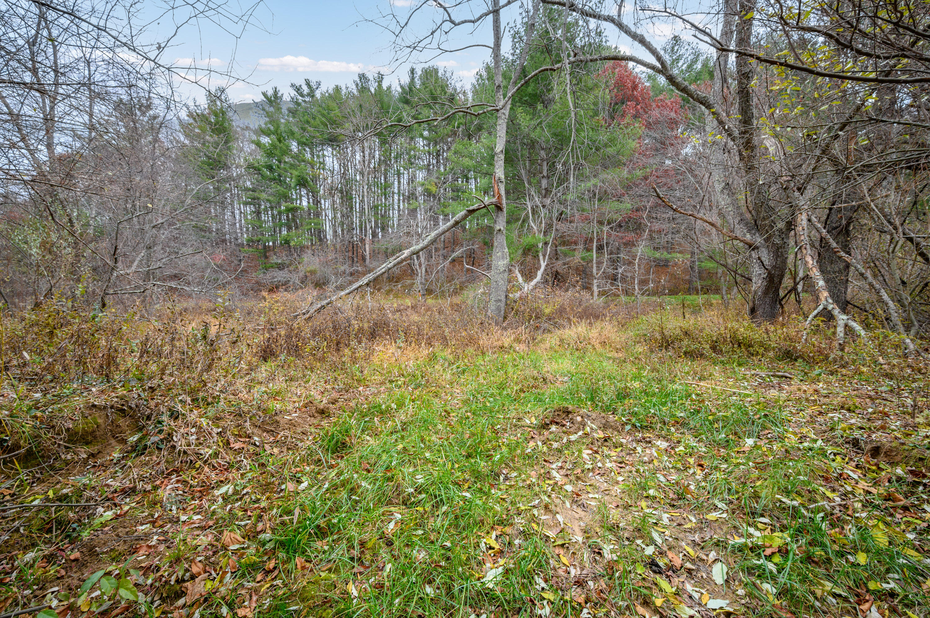 3150 Stonewall Road Northeast Check, VA 24072 - Photo 10 of 17 a backyard of a house with lots of green space