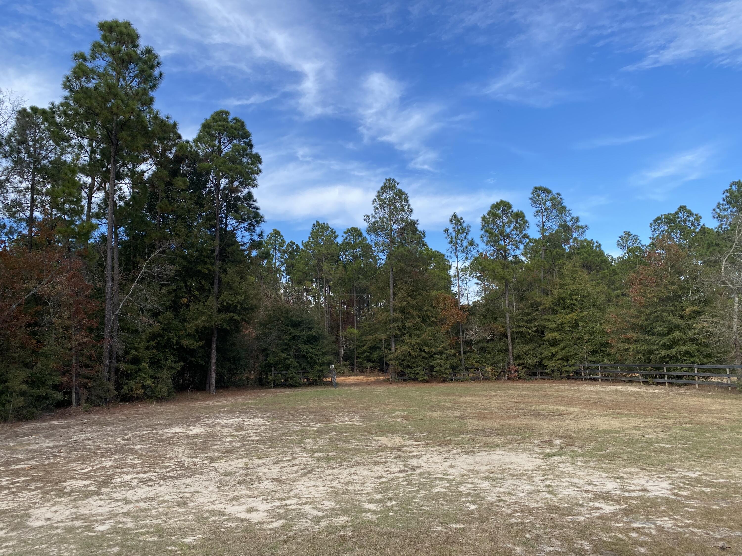 192 Pearl Bonnett Road Windsor, SC 29856 - Photo 4 of 25