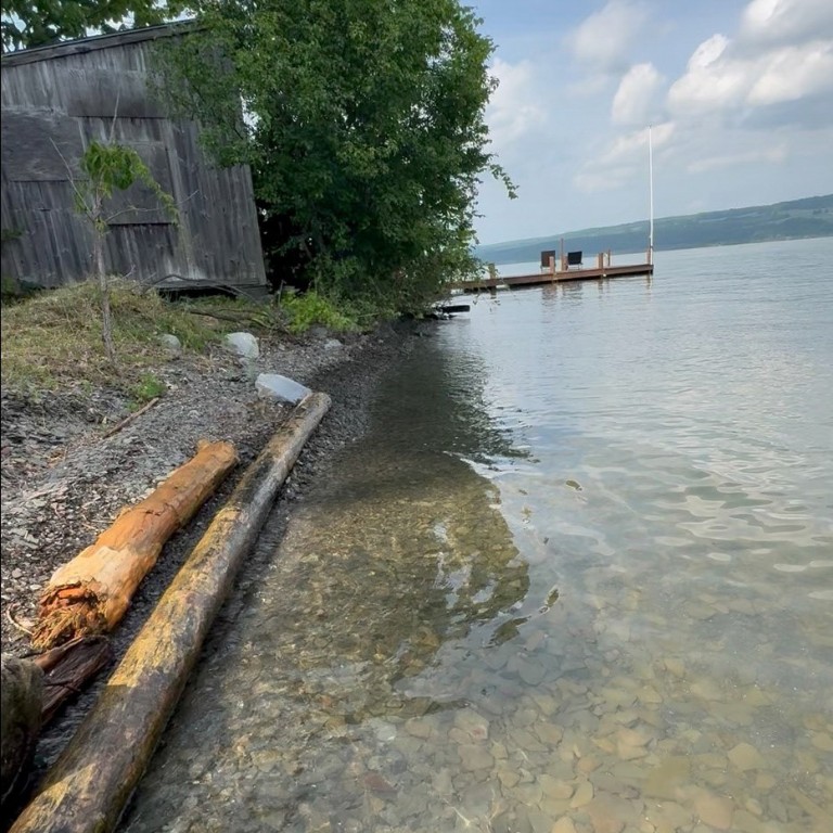 11 Red Cedar Lane Starkey, NY 14837 - Photo 1 of 17