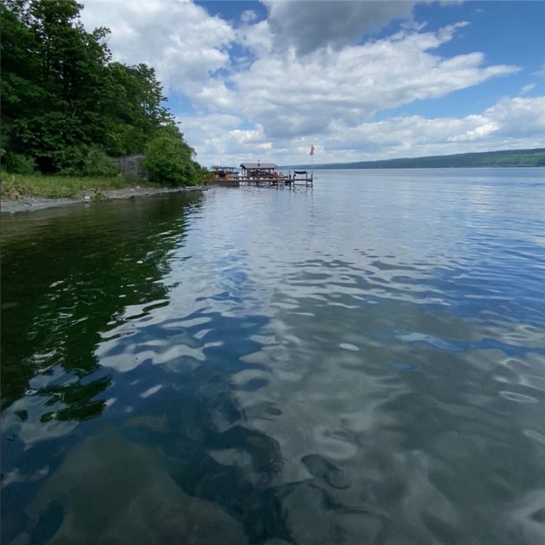 11 Red Cedar Lane Starkey, NY 14837 - Photo 15 of 17