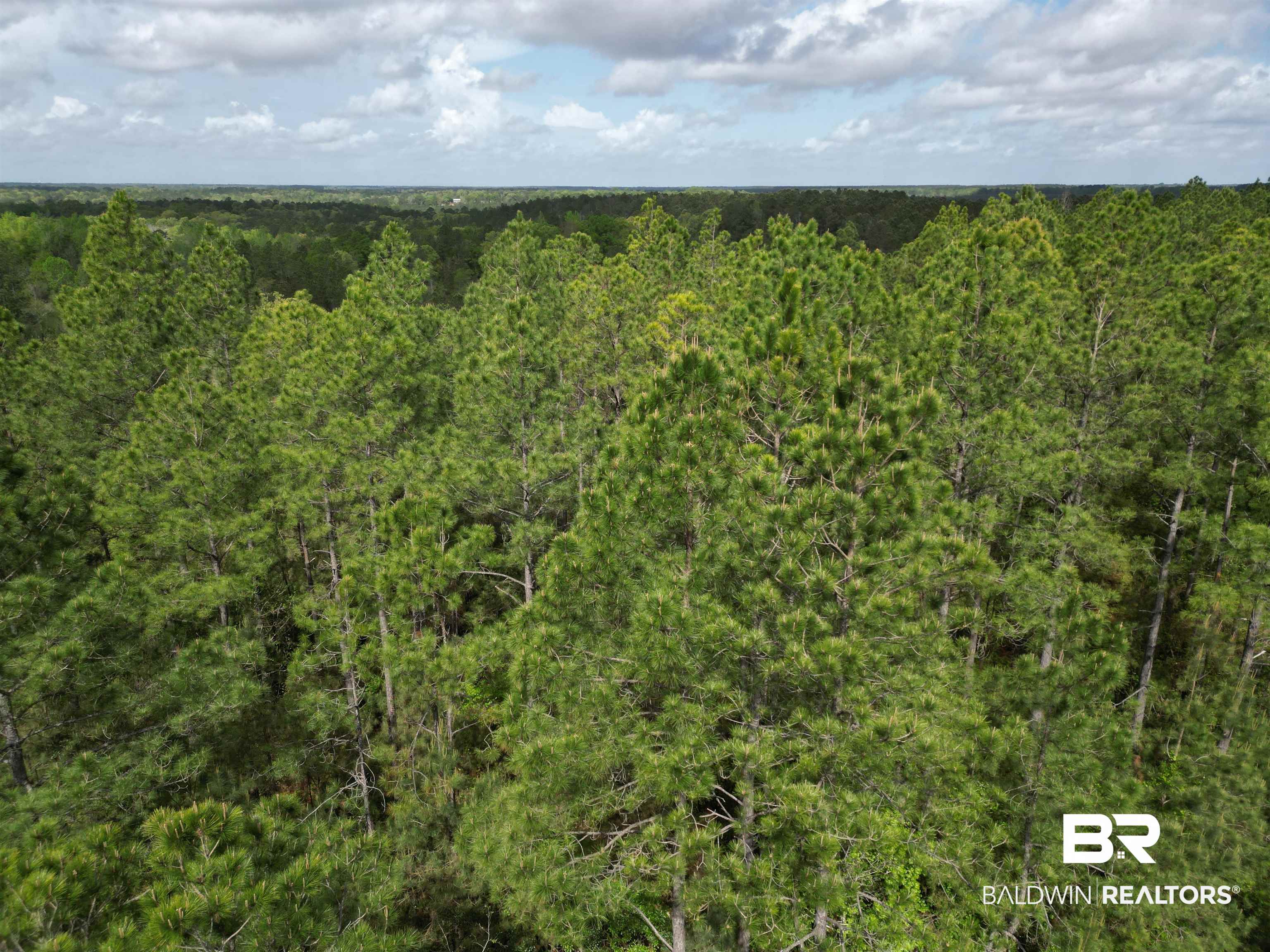 8200 Grimes Road Century, FL 32535 - Photo 9 of 19 Gallery Image 9