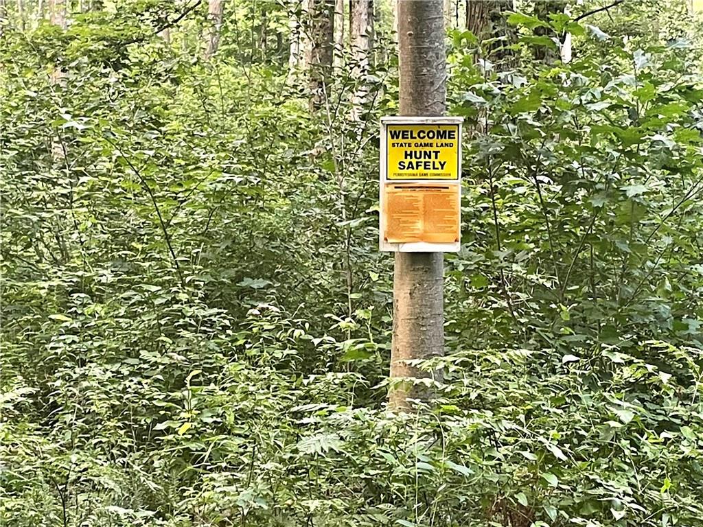 125 Spruce Road Confluence, PA 15424 - Photo 19 of 19 a sign that is sitting on a tall tree