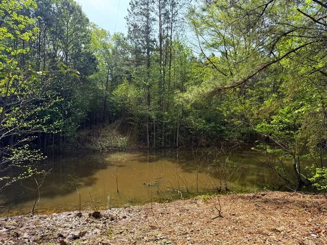 a view of a lake view