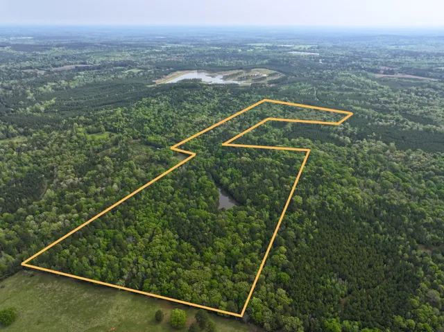 a view of a tennis court