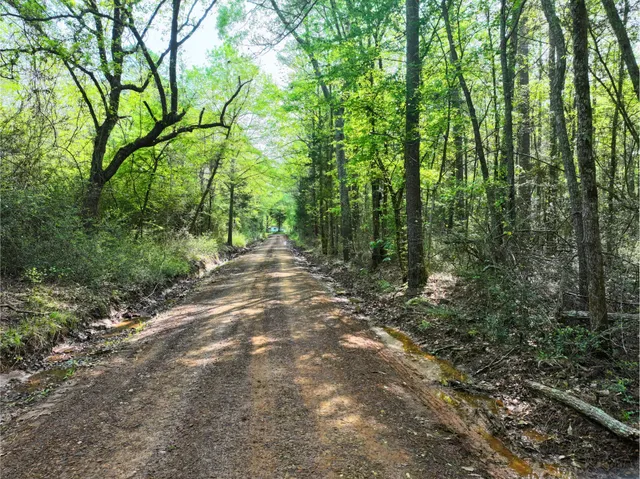 a view of outdoor space and trees