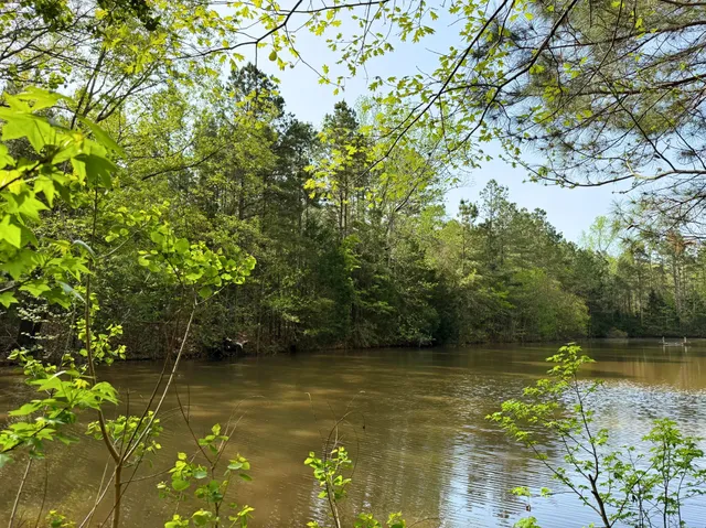 a view of lake with green space